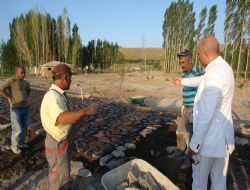 ‘İşinizi düzgün yapın'